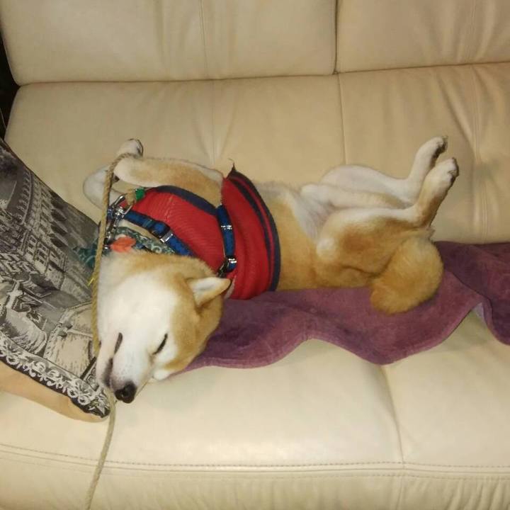 C3442fef 3425 4e73 964b dadd63ed8def 1546522505162