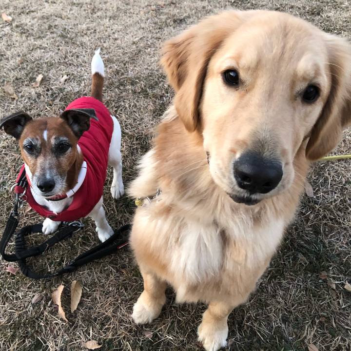 C3445de0 29d9 4fd2 8d2e e054eefb4968 1609889258925