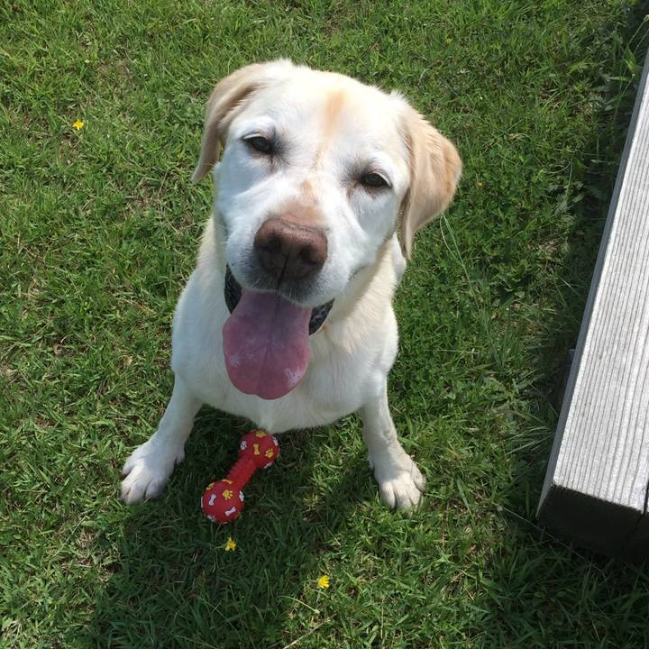 C3445de1 b817 4443 8c3a 9549fa56c6aa 1714547281725