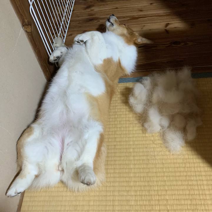 C34474c5 a1a4 4858 a84c eca6f5e33b39 1623719195323