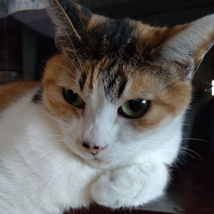 C344872d 01a1 4c50 814e 94fd44880588 1641474239558