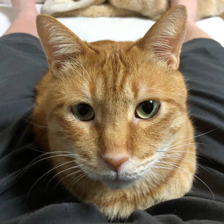 C3449b0e de09 4823 a8e3 882e5b84da6e 1607000424958