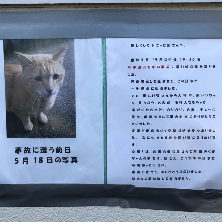 C344d570 67ec 4d41 ab37 2d980c02fdba 1622415978771