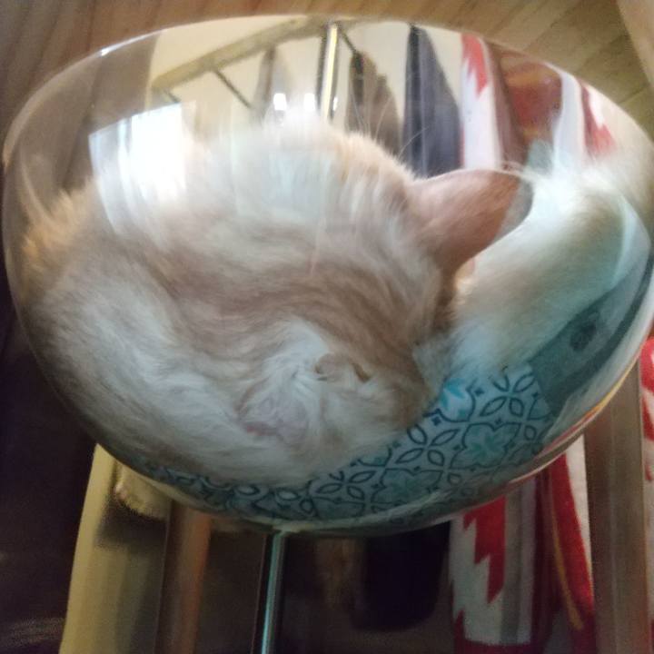 C344da47 11a5 41bb aa7c 1fb766b0683d 1630639527246