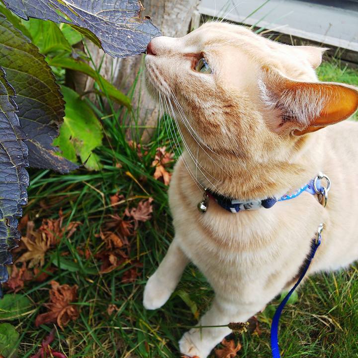 C344f6db e230 4ece 8c0c b170c4b28dc2 1606028660744