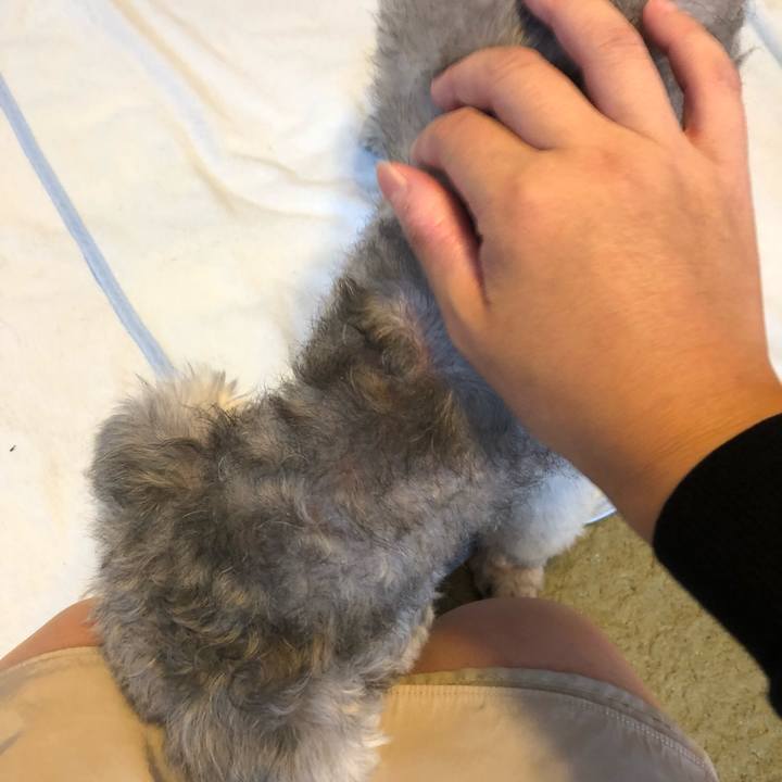 C3453b78 3d23 40d8 8cea 2c9aaadcb6b1 1537398154219