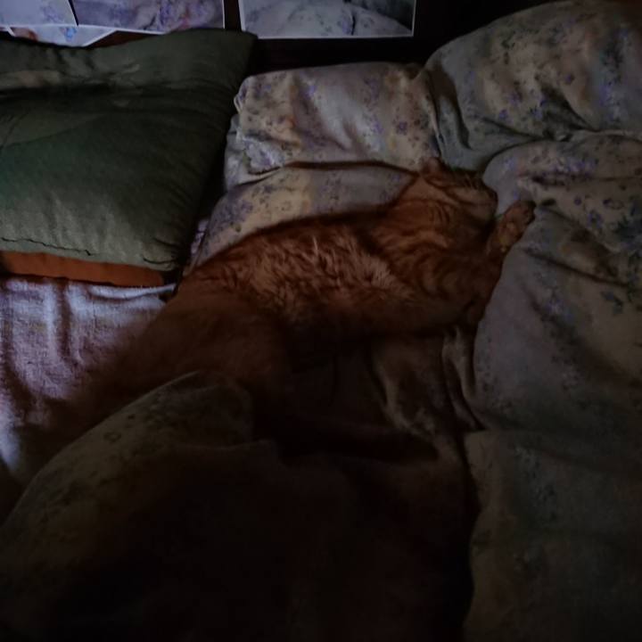 C3455e5e b20c 4e7d 968a 7401ddc0f695 1658441353952