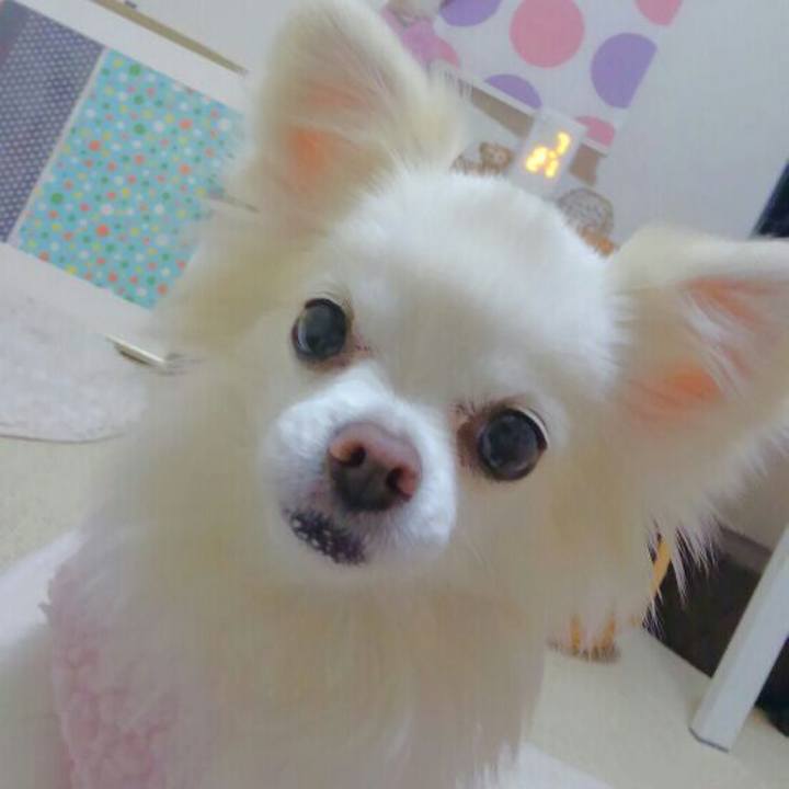 C34586d8 10c0 4131 b034 47bf21571dcb 1550745487072