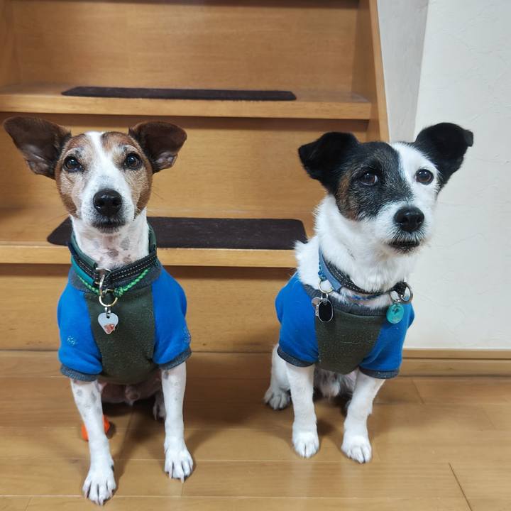 C3458f29 fc94 425a b960 ef4e30579730 1762644714532