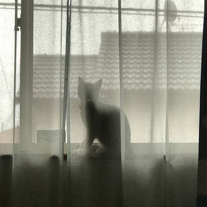 C345926e c2fb 4b25 bdde cee8768baca1 1531128290329