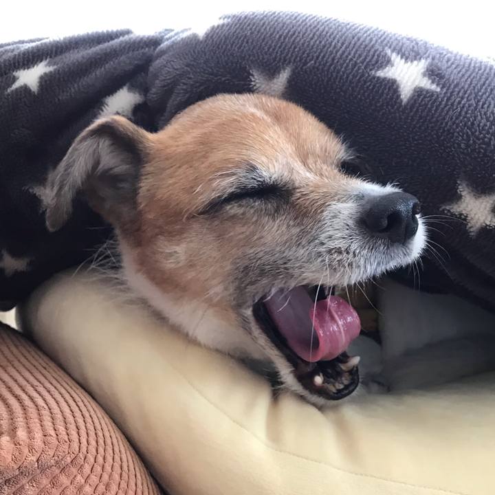 C3459796 89c0 4d25 b094 dfed1519fa1c 1551844805269