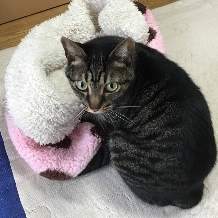 C345d7c5 006e 41b1 8658 205352e60f94 1524953868248