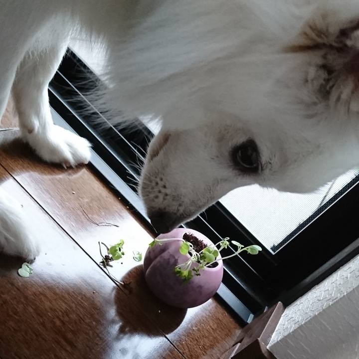 C345ee57 cf04 4bf6 8be9 1c5b84d72cfc 1527667563696