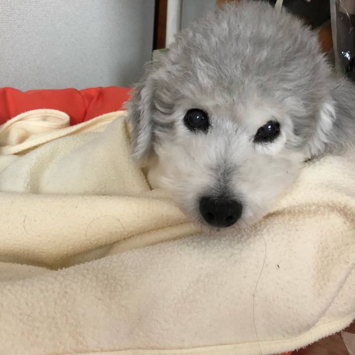 C3461405 1bac 44a6 bb42 d5883b43a191 1571358083879