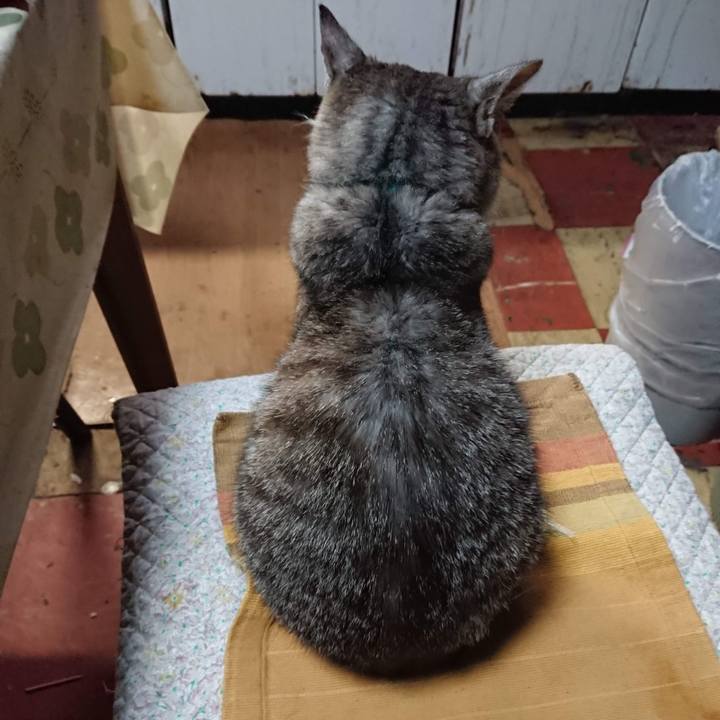 C34621e3 a395 46f3 af24 4153e208b9b1 1599944099722