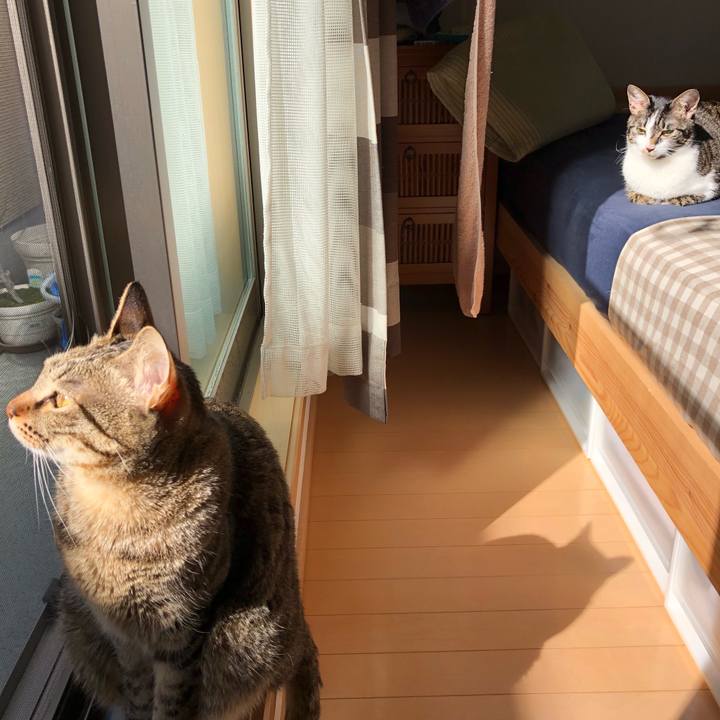 C34629b5 3ec2 4d7c a160 f15e9d8320bd 1519963764001