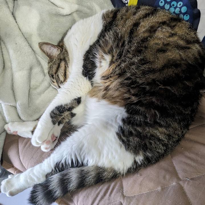 C3463722 b882 4808 8ab7 6bd17756e3cd 1715830864798