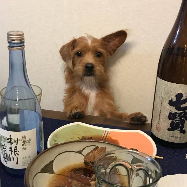 C3465cbd c1cc 4133 87ed 1bc0d811f854 1538559523343