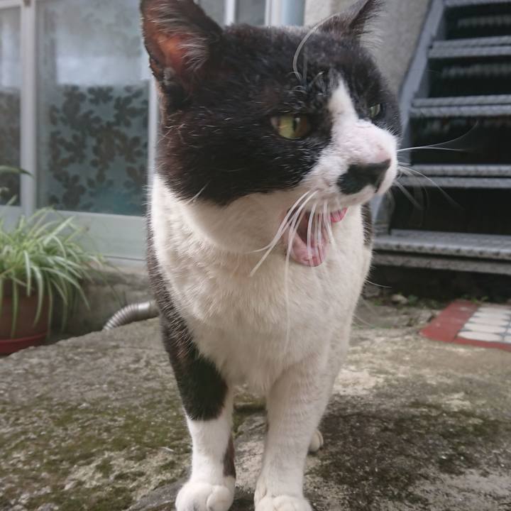 C346a024 7212 4901 86dc 847ecafb223f 1586230396107