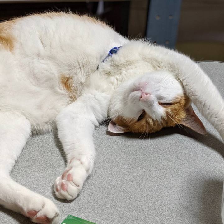 C346b70d 9a81 419f 918b c34793e7eb98 1565697715016