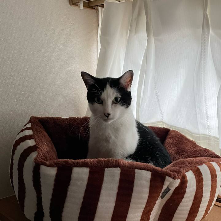 C346ba40 3a87 45df 98a7 e6c2482486ca 1662537075529