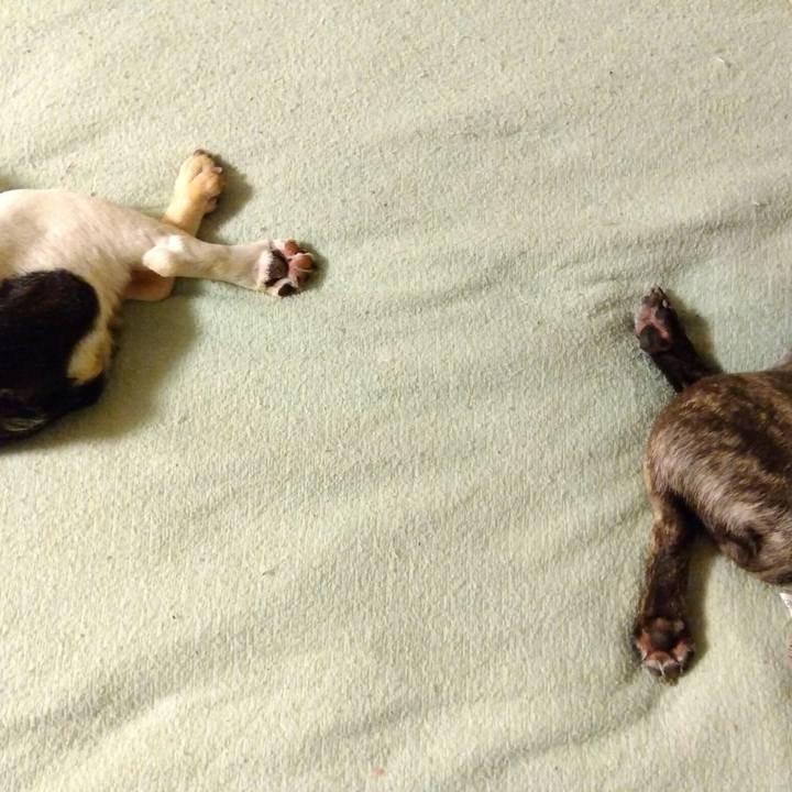 C347082f 075b 4179 98f6 e980100a5dcd 1749741707281