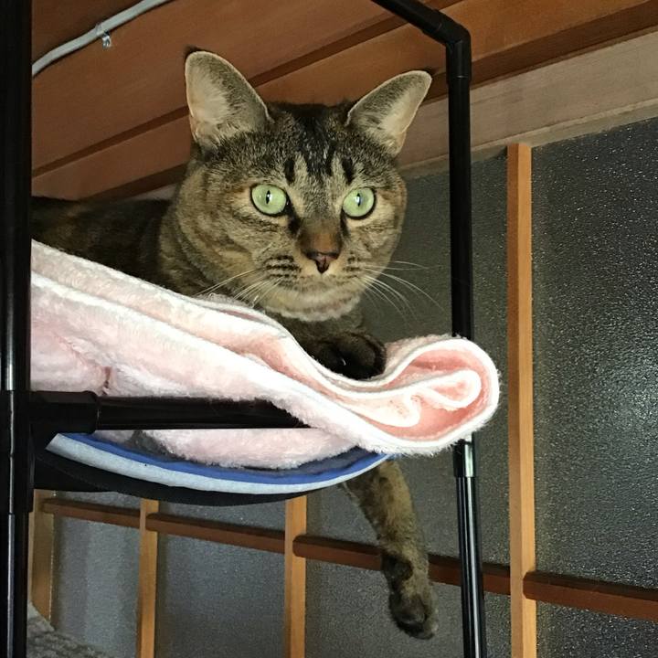 C347202d 1b70 4604 ba41 fc4e30c93d6a 1695529541797