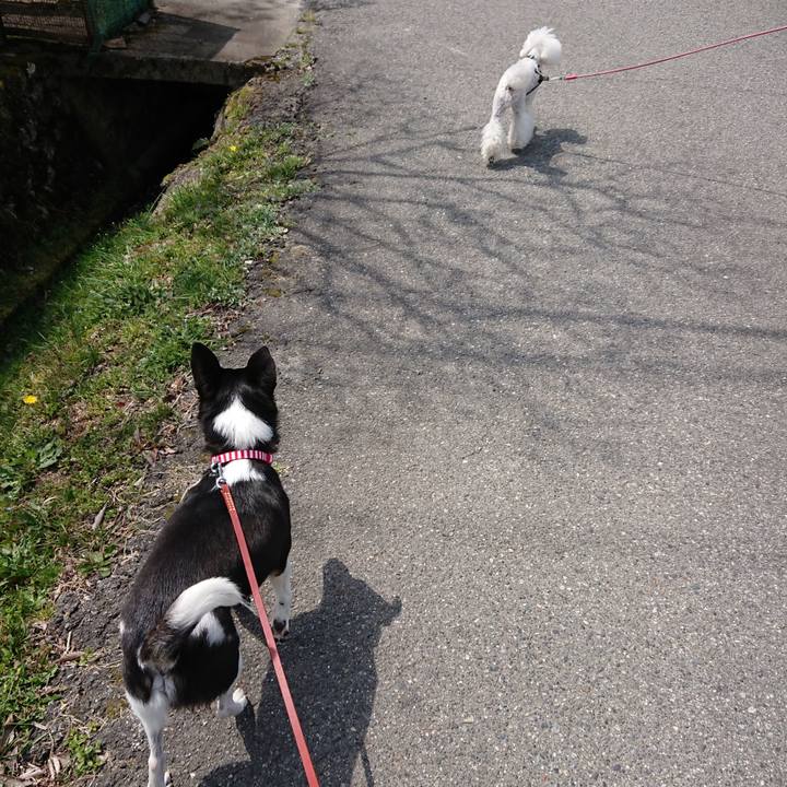 C3472f17 5e16 429d ab56 3d2cebdce91c 1522552406052