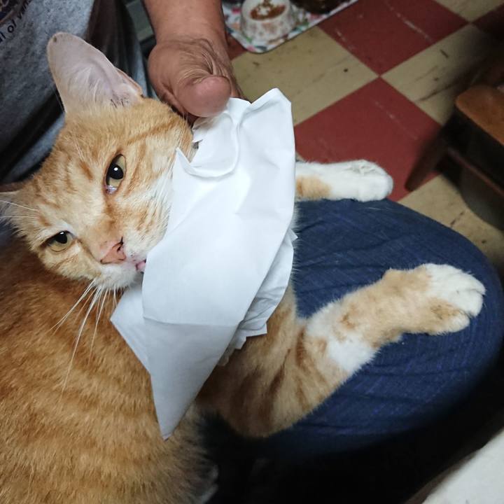 C34738f1 3fcd 49ff 9c63 c1350e15cd01 1594671691920