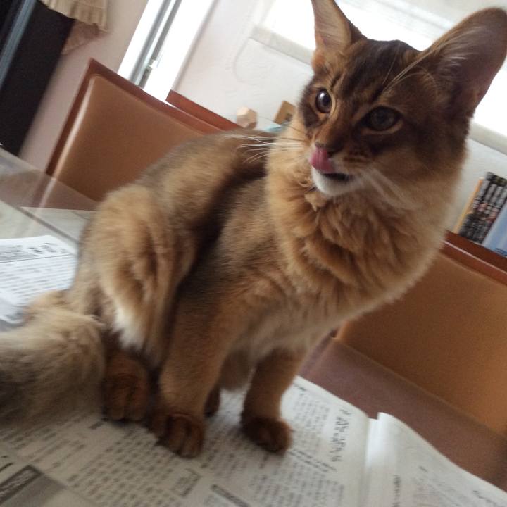 C34756e4 009c 4c69 8c12 b545a7d9d978 1574911182685