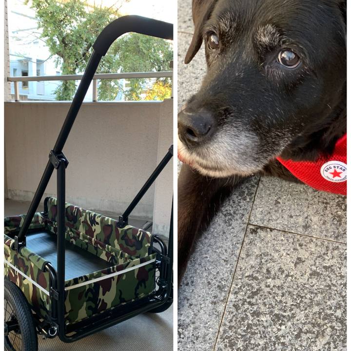 C347655d 0a4b 4342 84fe 216a3d0bca20 1639024485168