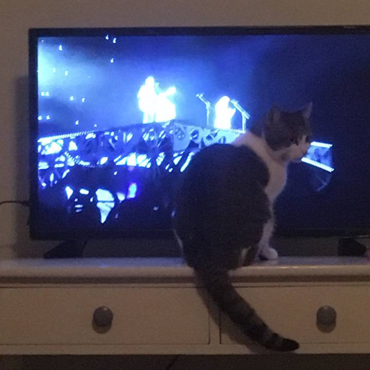 C3476932 3a45 4f86 bb74 052c767b082e 1645498129592