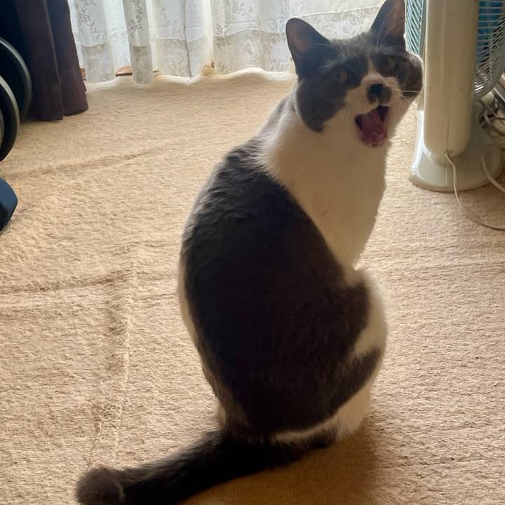 C3478537 550f 4d0d 8989 0e013411cbbb 1710455944325