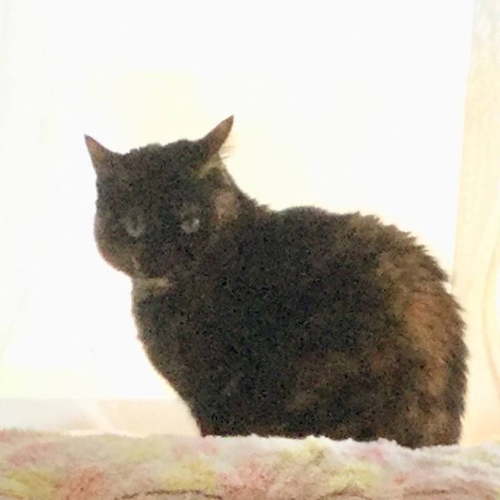 C347d907 b7bf 4047 b770 aa75a15cda72 1610066099438