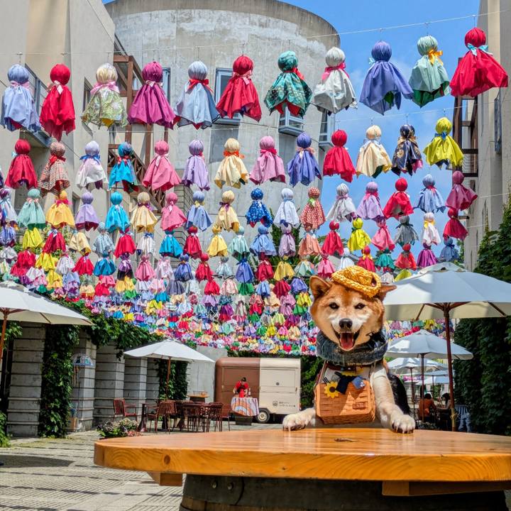 C34835d1 3642 4865 853e c52f7c1eeb75 1751679669554