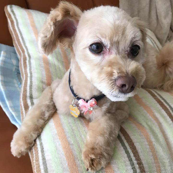 C34849cd 6724 4abb 8214 84cf4db14fc9 1512299173688