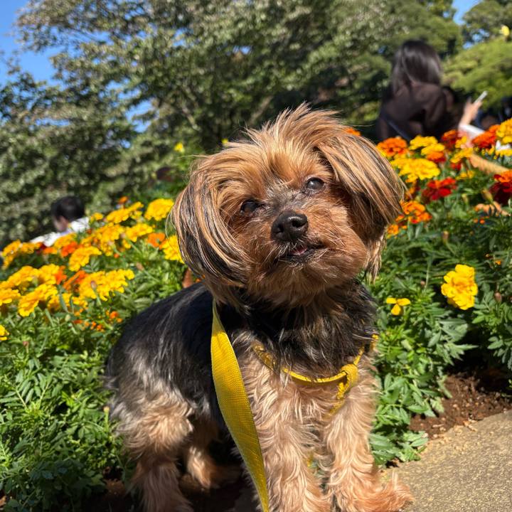 C3485eaf c76c 48c1 bbf6 e6bb44e544a1 1731389968861