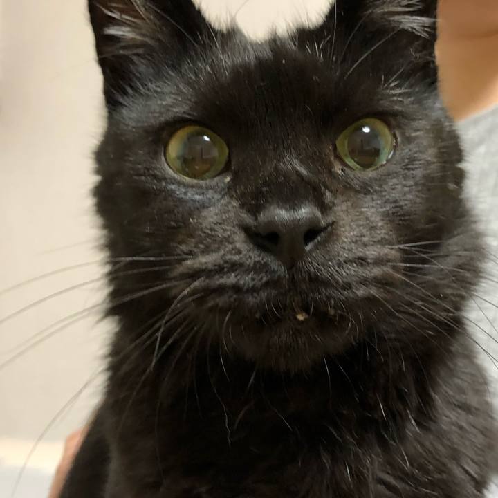 C3486df8 fcb4 4b8a 9603 3d084d3f3f12 1590666481718