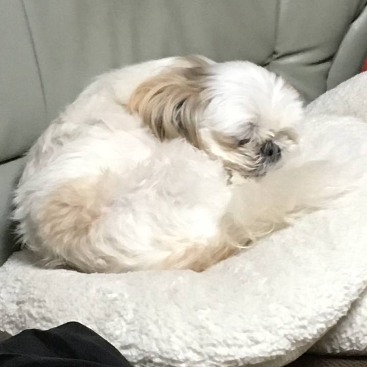 C3487d3f 54ed 4f4c b8bb 828015c4b4f3 1578019923388