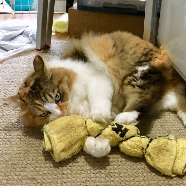 C348b023 bdce 4d00 8373 530f8c5e53b7 1567221088915