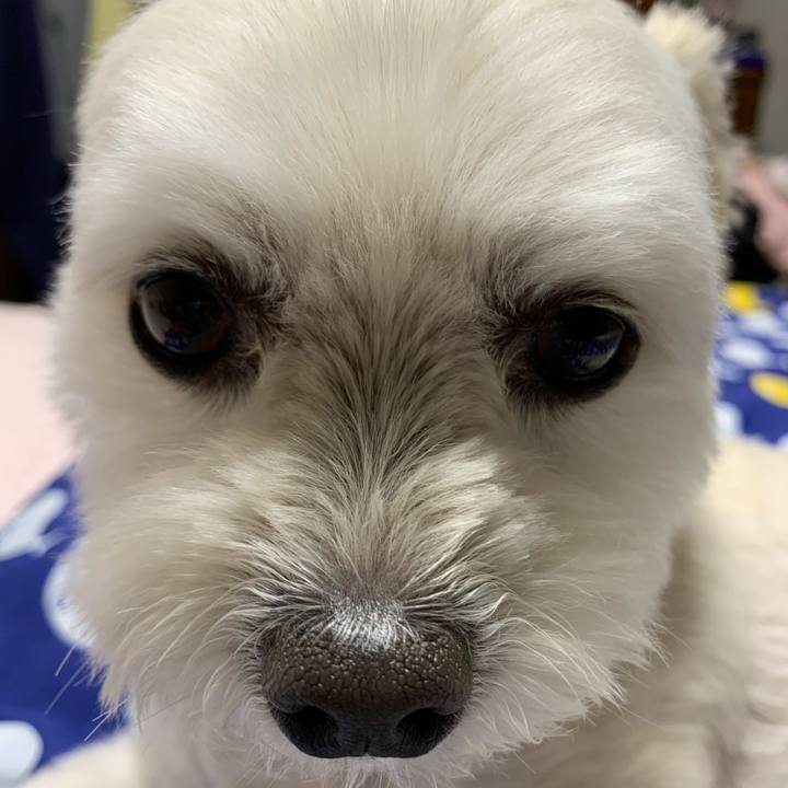 C348eb26 912d 44a1 b1d6 af5a5e09938f 1588425409561