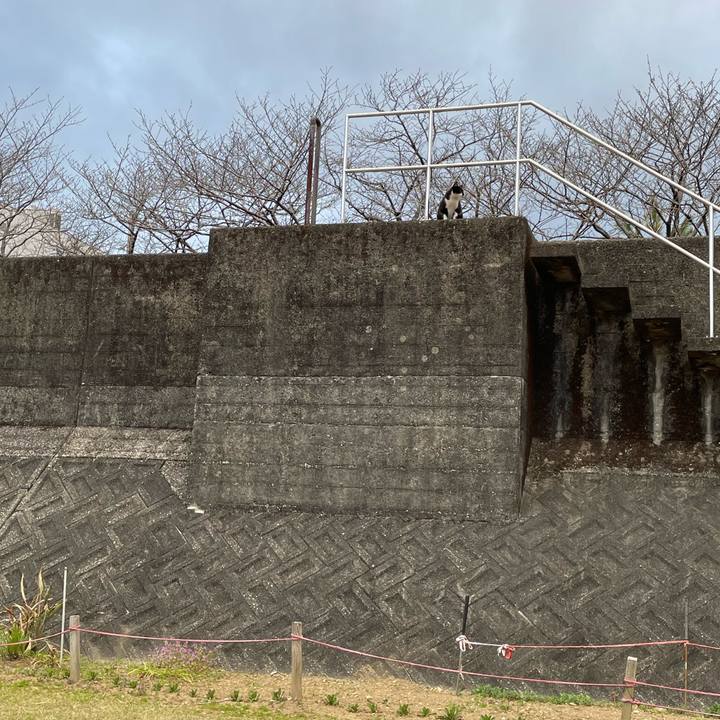 C3491038 091f 4da8 a12e c0e8794d1321 1678967496011