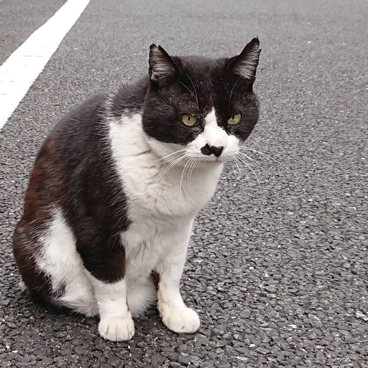 C3491927 4b40 4360 8533 b1e45cbfb48f 1649129481393