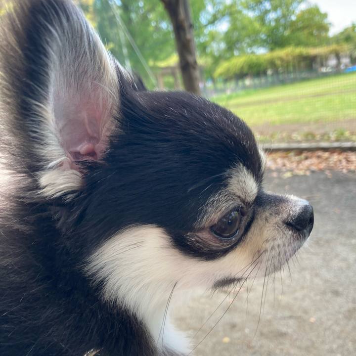 C3494caf 6100 4359 8163 b11bde71c9b9 1618722350662