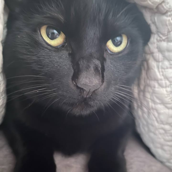 C349776d e5cf 4436 bcee e0df45836f5d 1677890149903