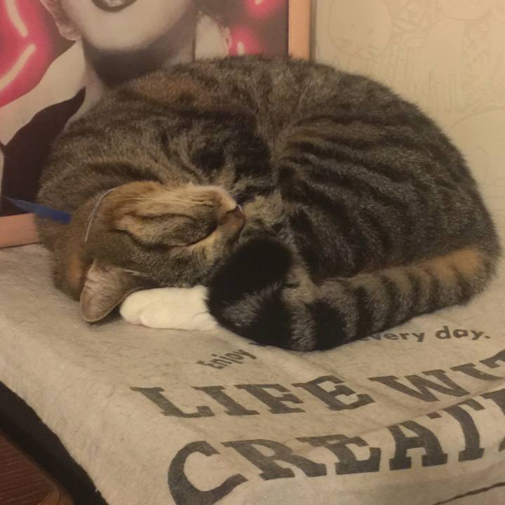 C34990f2 c233 443c bbd6 0b4534a4c255 1547995788830