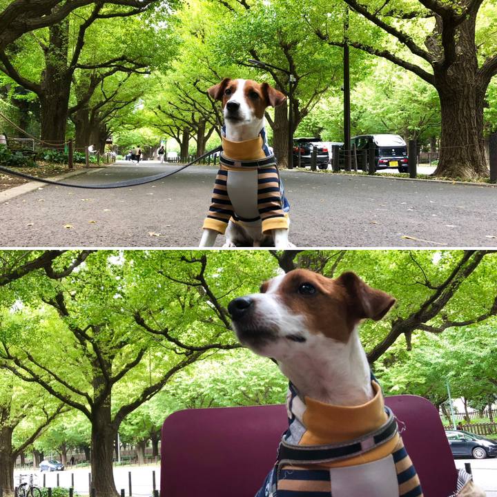 C349acdd c160 407e 9455 8fe702c91710 1538994120959