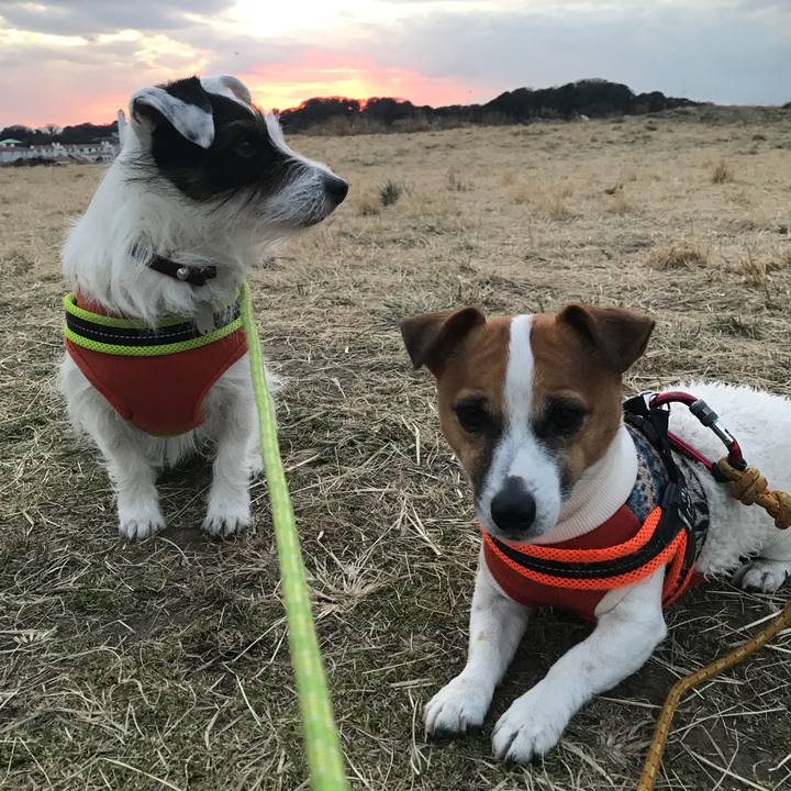 C349cda6 dbdc 4eb3 8621 a1d75f6a6f0d 1517301916150