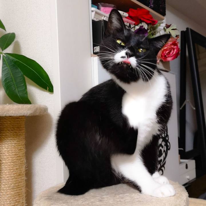 C349e664 e781 4f94 92af bc04bcac60fa 1544887168763