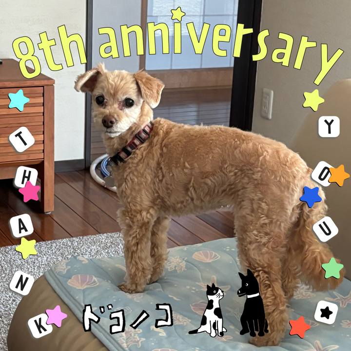 C349e98a e765 4c9b a636 630470fe5b55 1717584331776